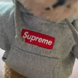 Supreme/Steiff®️ BEAR HTH GREY Grey Hoodie Supreme Steiff Bear Replica Steiff Supreme Teddy Bear